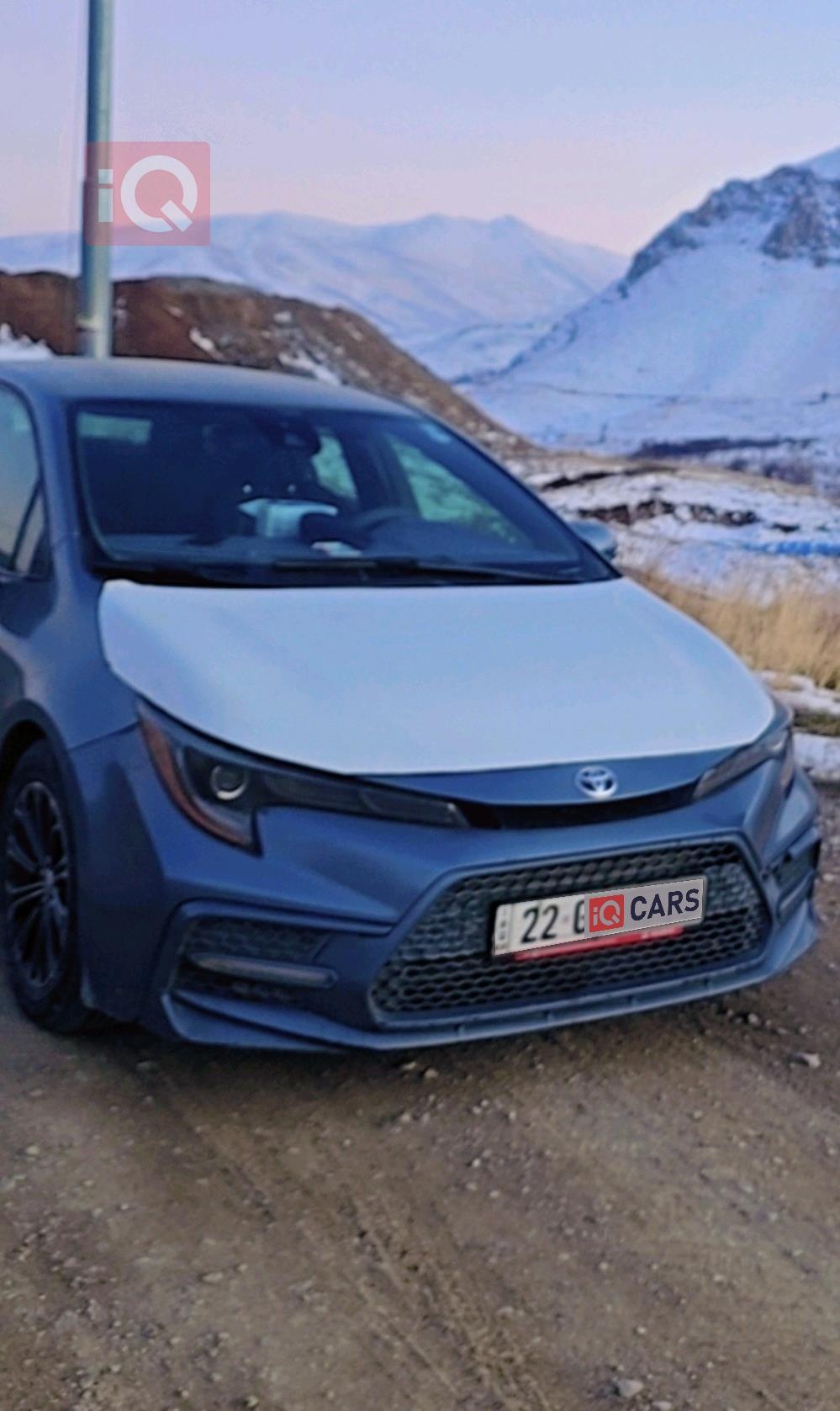 تويوتا كورولا